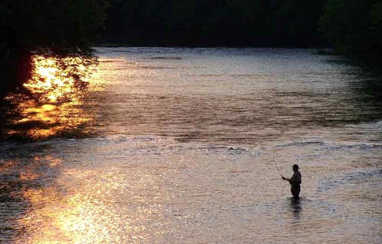 Cliff View Inn Covington Bagian luar foto